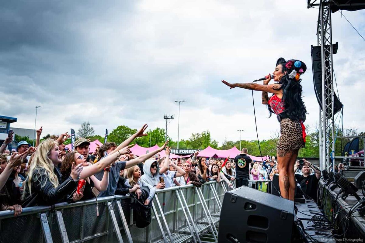 Nadine reaching out to a packed festival crowd